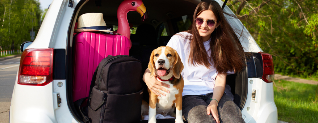Ratgeber: So bringst Du Hund und Gepäck im Kofferraum unter